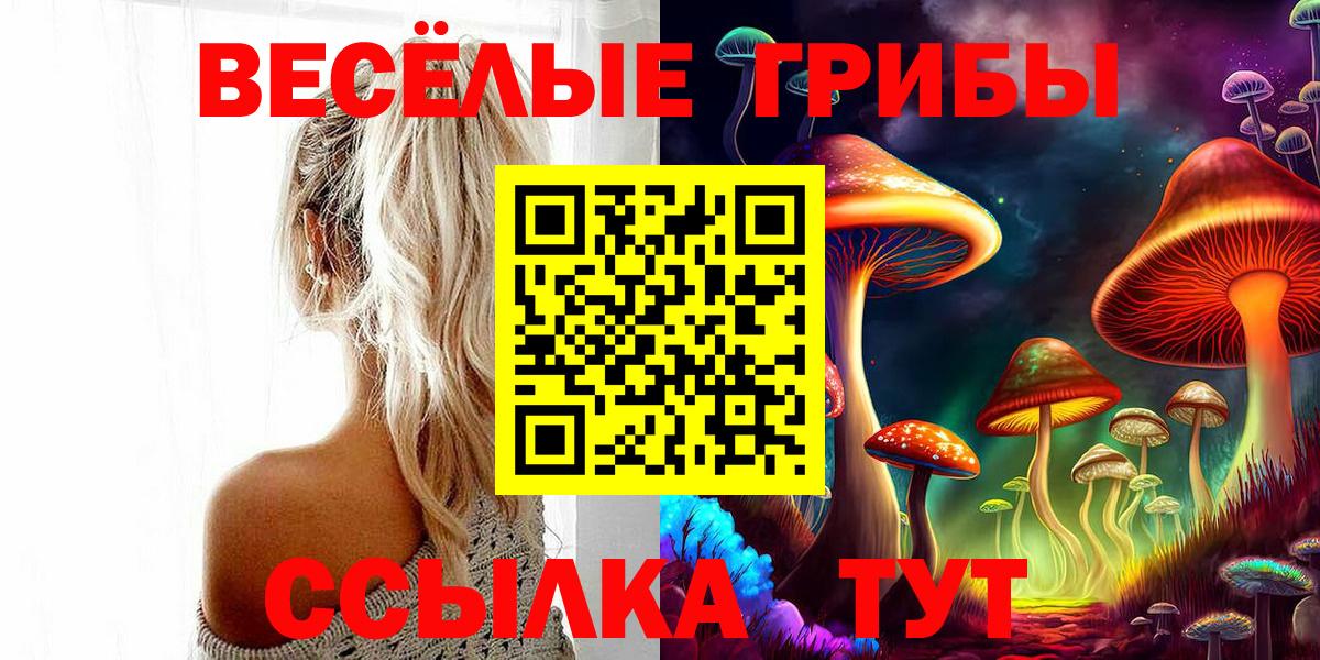 Галлюциногенные грибы мицелий  Вход с VPN  Среднеуральск 