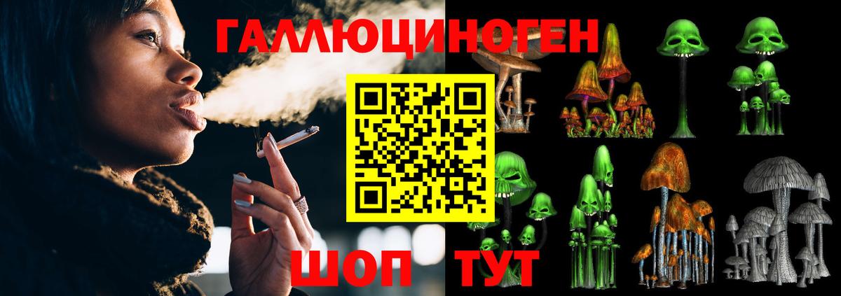 Псилоцибиновые грибы прущие грибы Среднеуральск